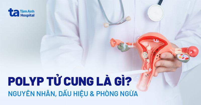 Sơ đồ hoặc hình ảnh minh họa rõ ràng sự khác biệt giữa nhân tố vô sinh và hữu sinh trong hệ sinh thái với các ví dụ cụ thể có nhãn bằng tiếng Việt.